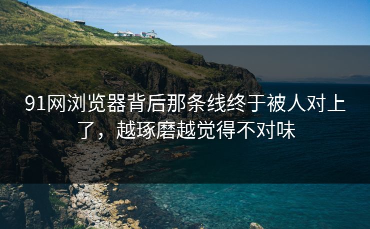 91网浏览器背后那条线终于被人对上了，越琢磨越觉得不对味