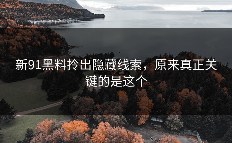 新91黑料拎出隐藏线索，原来真正关键的是这个