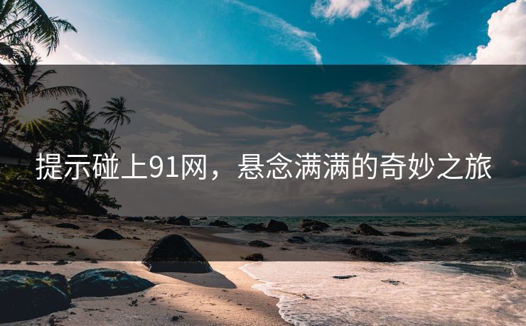 提示碰上91网，悬念满满的奇妙之旅
