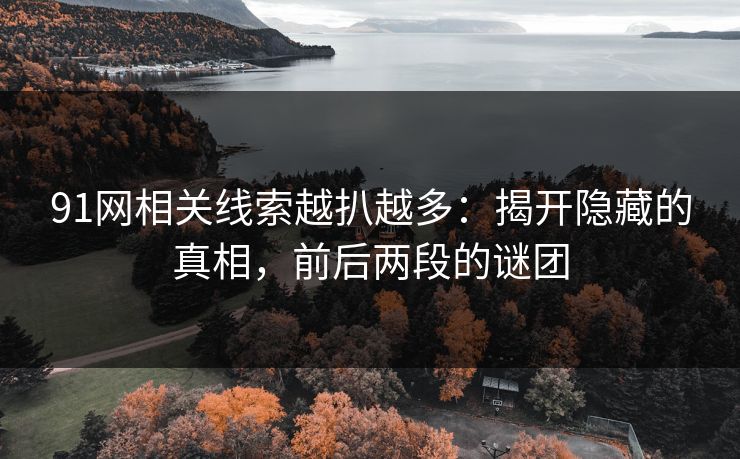 91网相关线索越扒越多：揭开隐藏的真相，前后两段的谜团