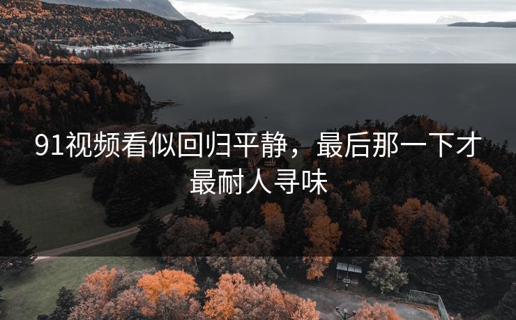91视频看似回归平静，最后那一下才最耐人寻味