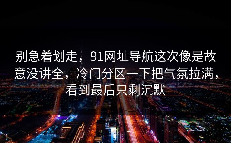 别急着划走，91网址导航这次像是故意没讲全，冷门分区一下把气氛拉满，看到最后只剩沉默