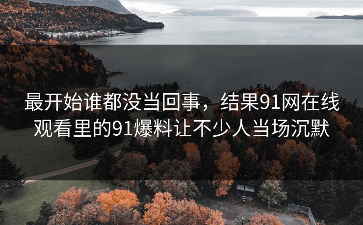 最开始谁都没当回事，结果91网在线观看里的91爆料让不少人当场沉默