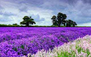 一口气看完才后怕：91大事件线路看似普通却处处埋钩子，这次不只是热度高，把大家忽略的那一段拖回视线