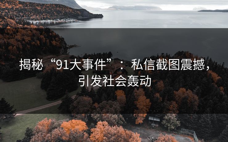 揭秘“91大事件”：私信截图震撼，引发社会轰动