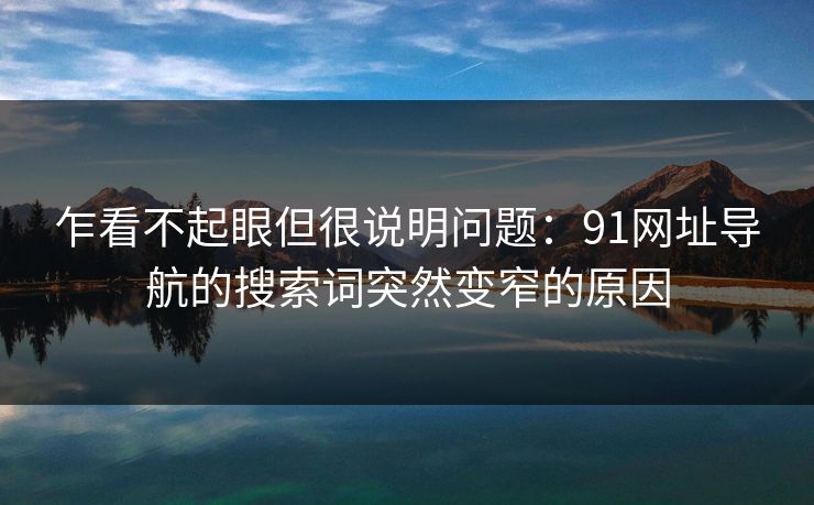 乍看不起眼但很说明问题：91网址导航的搜索词突然变窄的原因